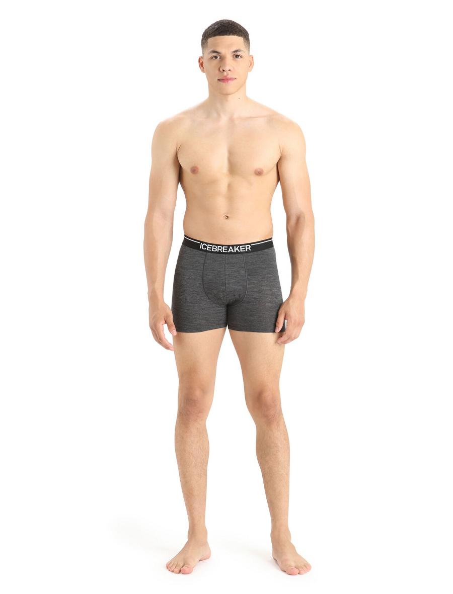 Bielizny Icebreaker Merino Anatomica Boxers Męskie Czarne Szare | PL 1631VRWD